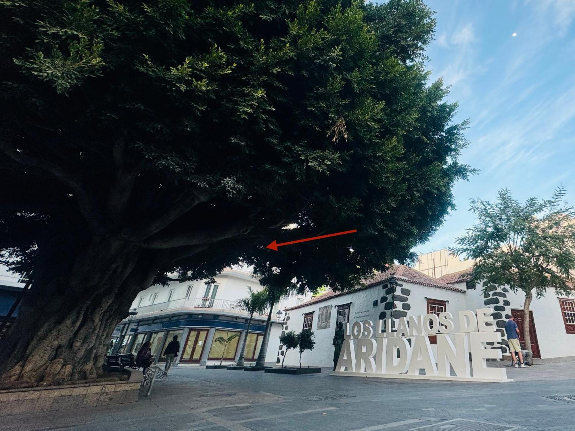 洛斯·亚诺斯·德·阿里丹Vista Plaza - Exceptional Location公寓 外观 照片